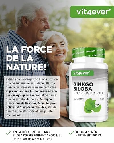 Ginkgo Biloba 6000 mg - 365 Comprimés - Premium : Avec glycosides de flavone + ginkgolide terpène lactones & acide ginkgolique libre - Sans additifs indésirables - Hautement dosé - Végétalien