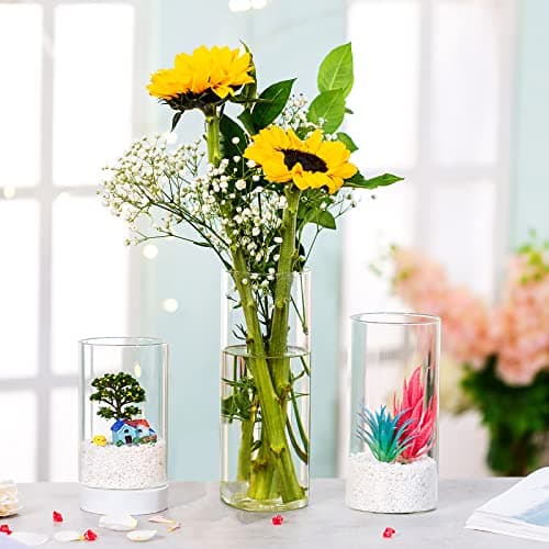 Hewory Vases Cylindriques en Verre Lot de 6, Grand Vase en Verre Transparent pour Fleurs, Support de Bougie pour Bougie Pilier Flottante, Vase à Fleurs pour Centre de Table pour Mariage, 10/15/20cm
