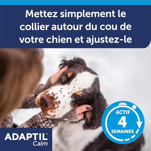 ADAPTIL Calm – Anti-stress pour chien – Collier Moyens et Grands Chiens – Taille M/L