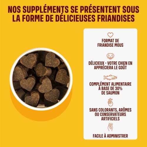 ivvi - Skin & Coat - Complément Alimentaire pour Chien, Anti-Démangeaisons, Fourrure Douce et Brillante - Oméga 3, Huile de Saumon, DHAgold, Vitamines C, E et Zinc - 60 Friandises au Saumon