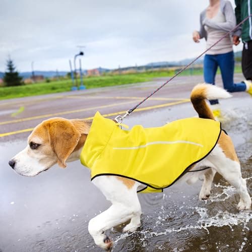 Mile High Life | Imperméable pour Chien | Vêtements Ajustables imperméables pour Animaux de Compagnie | Veste de Pluie légère avec Bande réfléchissante (Jaune, M)