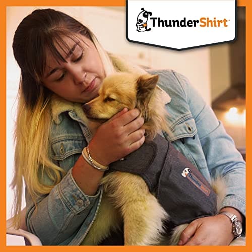 ThunderShirt Gilet Relaxant pour Chiens. Rassure Lors de Situations stressantes. Méthode Douce et Naturelle. Existe en 5 Tailles. Gris.