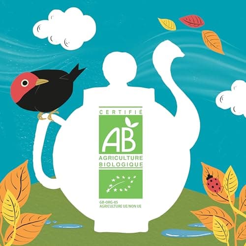 CLIPPER - Infusion Bio Détox - Saveur Fruits Rouges - 20 Sachets d'Infusion Bio - 1 paquet