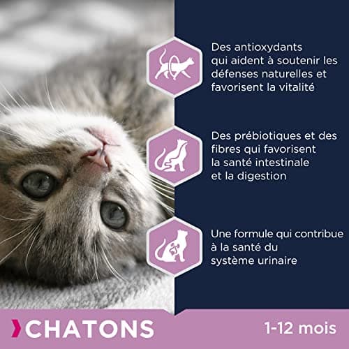 EUKANUBA - Croquettes Premium pour Chaton – Riche en Poulet Frais et en Riz – Favorise la croissance - Alimentation 100% Complète et Equilibrée – DHA – Sans Blé – Sans OGM - Sac refermable - 2kg