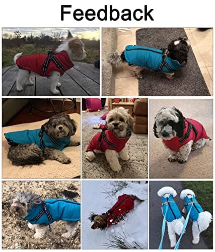Pethiy-Manteau d'hiver pour Chien avec Harnais intégré,Veste Chien Chaud en Polaire,Imperméable Vêtements Gilet pour Chien avec Harnais,Pull d'extérieur pour Moyenne et Petite Chiens-Noir-S