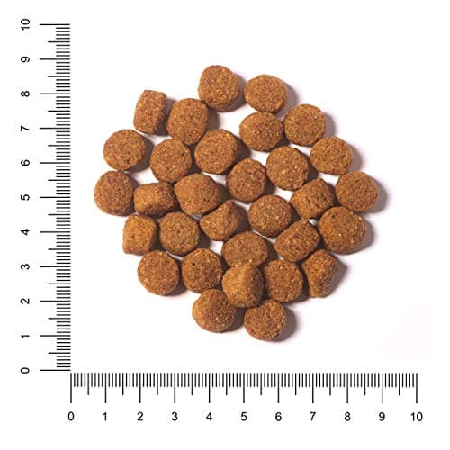 The Hunger of the Wolf Croquettes pour chiens adultes de toutes races en surpoids ou stérilisés, formule légère au poulet, 14 kg