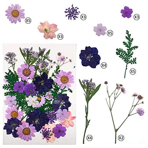 Cinco 90 Pcs Vraies Fleurs et Feuilles Pressées Séchées Pétales Naturels Séchés pour Bougie Résine Bijoux Savon Pendentif pour Ongles Cas De Téléphone Artisanat (Bleu, Violet, Rose, Vert)