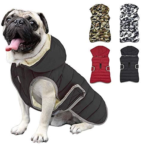 Etechydra Manteau Chien Veste Gilet Chaud de avec Chapeau Détachable, Confortable d'hiver Imperméable Vêtement Chien Doublure en Polaire Chaude Hiver-Coat Manteaux, Black Gris XS.