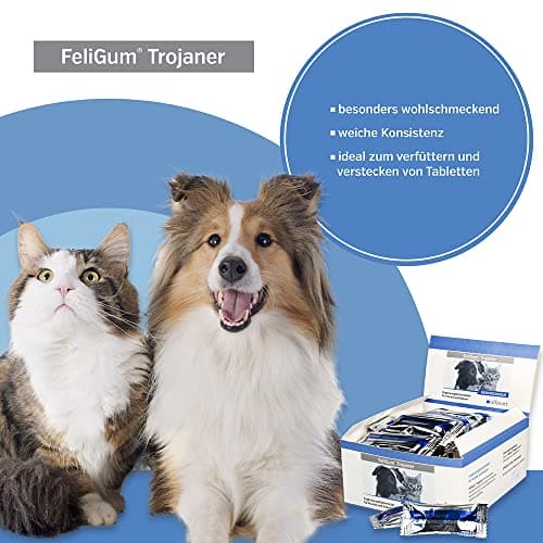 alfavet FeliGum Trojaner, cachette de médicaments malléable à administrer en Snack, complément Alimentaire pour Chiens et Chats, 15 x 10 g