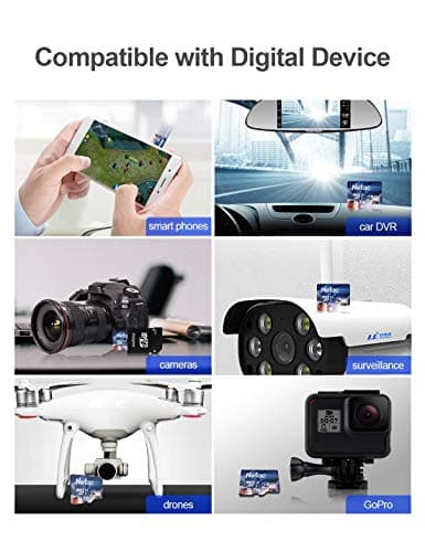 Netac 256 Go SDXC Carte Mémoire Micro SD pour Switch, Appareil Photo, Smartphone, PS Vita, PS4 Pro, Go Pro (UHS-1 A1 V30 U3 C10 4K UHD)