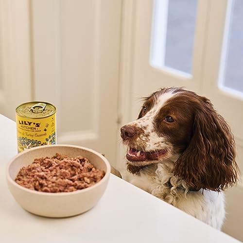 Lily's Kitchen Aliment humide naturel en boîte pour chiens adultes, recettes classiques, multipack (12 x 400g Conserve)