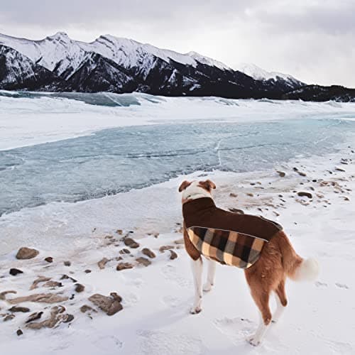 CITÉTOILE Manteau Chien Coupe-Vent, Manteau Veste pour Chien d'hiver Réversible, Veste vêtement d'hiver Chaud pour Chiens Petit Moyen Grand, Réfléchissants, Manteaux Polaire Chien, Marron, XS