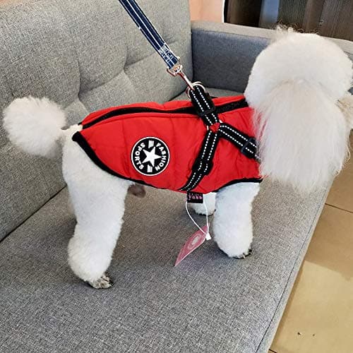 Gilet d'hiver pour chien avec harnais - Veste chaude et rembourrée pour temps froid - Vêtements pour chats, chiots et petits chiens