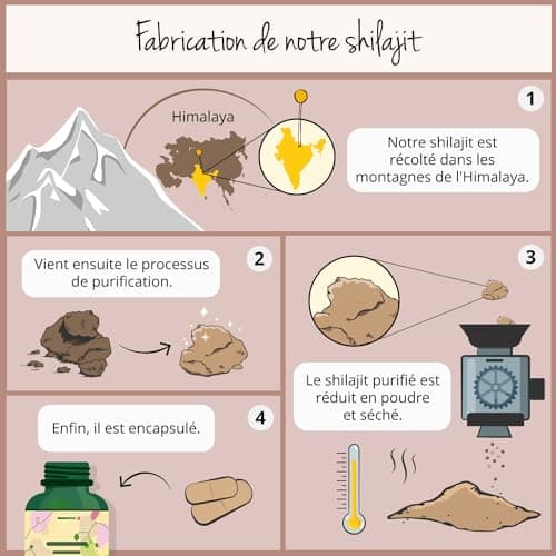 Shilajit Pure 78.000 mg Vegavero® | Extrait 60:1 | 60% Acides Fulviques + 12% Humiques | Résine de l'Himalaya | Energie + Immunité + Antioxydant | 90 Gélules | VEGAN & Sans Additifs