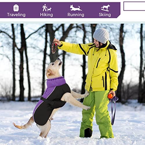 Manteau d'hiver pour Chien, Veste ImperméAble pour Chien, Veste d'hiver Chaude avec Doublure en Polaire, Manteau RéFlecteur Ajustable Et Confortable avec Trou pour Harnais pour Petits Et Moyens Chien