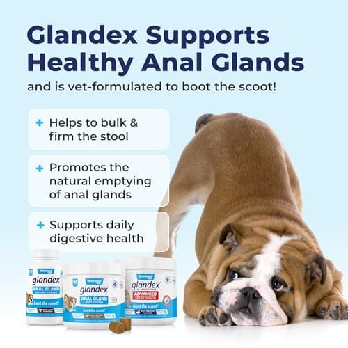 Glandex Supplément de Fibres de anale pour Chien et Chat avec Citrouille, enzymes digestives et probiotiques - Intestin et Digestion sains - Boot The Scoot - par Vetnique Lab (70g)