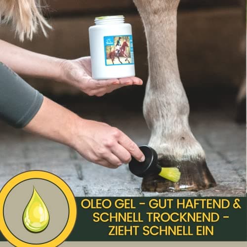 Huile pour sabots chevaux bidon d'huile 2,5L Baume pour sabots - Graisse I Soin des sabots & de la fourchette I Contre les sabots secs I Soin I Pommade I Flacon pinceau - croissance rapide des sabots