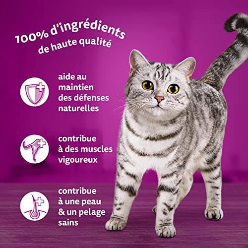 WHISKAS Repas pour Chat - 52 Sachets Fraîcheur (Lot de 13 Packs 4x85g) - Festins à la Volaille (2 saveurs) - Pâtée pour Chat Adulte en Sauce. Nourriture Humide Complète Adaptée aussi Chats Stérilisés