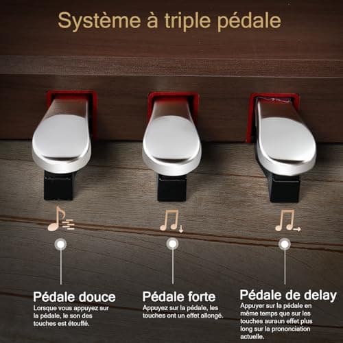 LEADZM Piano Numérique 88 Touches, Clavier Entièrement Lesté, Piano Électrique avec Double Bluetooth et Haut-Parleurs Stéréo, 128 Sonorités et Rythmes, Système à 3 Pédales, Noyer Noir