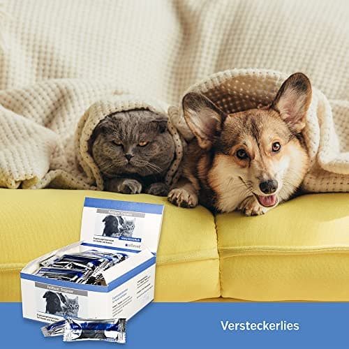 alfavet FeliGum Trojaner, cachette de médicaments malléable à administrer en Snack, complément Alimentaire pour Chiens et Chats, 15 x 10 g