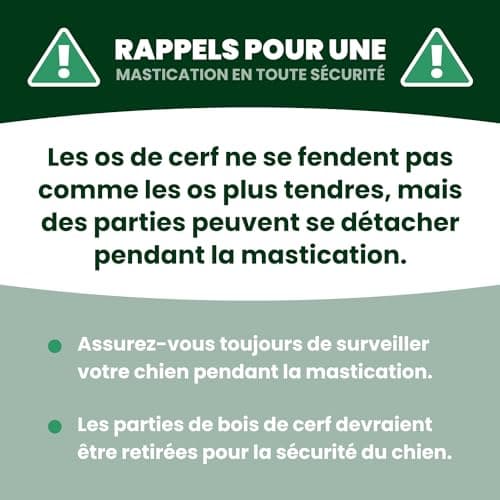 Bois de Cerf pour Chiens - Bois de Cerf pour Chiens Fabriqués à Partir de Bois de Cerf Rouge Naturel et Sélectionné avec Soin, Riche en Protéines et en Minéraux.- S (50-75g), Paquet de 3