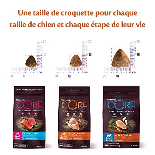 Wellness Core Original, Croquettes pour Chien de Petite Taille, Naturelles et Sans Céréales, Dinde/Poulet, 5 kg