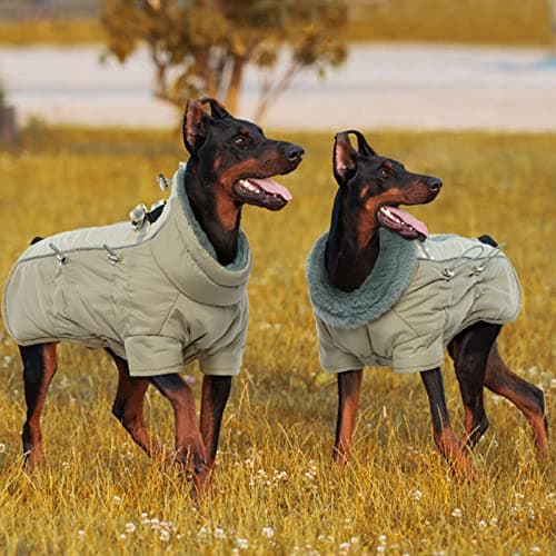 Katzinst Manteau Chien, Manteau imperméables pour Chien avec Pattes Réfléchissant Vetement Chien avec Protection Abdominale Vêtements pour Chiens d'hiver pour Grands Chiens, Labrador, XL