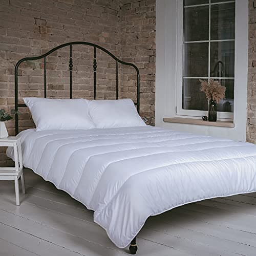 FAM Home Oreiller 50x60 Lot de 2 Anti Acarien I Coussin Rectangulaire Moelleux Microfibre Douces Hypoallergenique Entretien Facile
