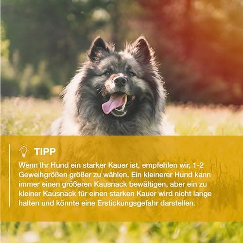 RF - Deer Bois de Cerf élaphe S (Lot de 5), Soft, 100% Naturel Bâtonnets Jouets à mâcher naturels pour Chien, Mâcher des os pour Le Plaisir et Les Soins dentaires, favorisant l'hygiène Dentaire