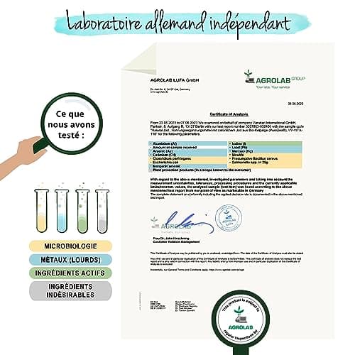 Iode BIO 150 μg | 100% NATUREL : Issu d’Algue Kelp | 6 Mois | Thyroide* + Antioxydant | SANS ADDITIFS et VEGAN | Vegavero®