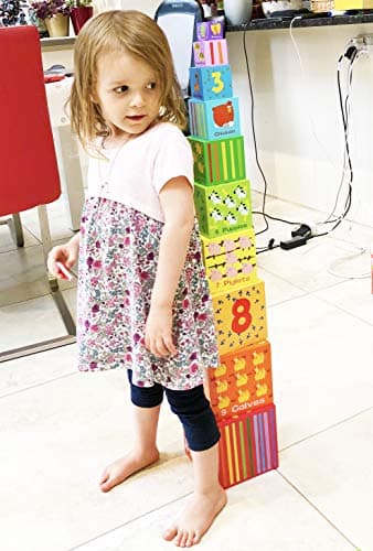 TOWO Cubes emboitables en Bois - Pyramide Cubes a empiler Bebe pour Apprendre à Compter - Lot de 10 Cubes éducatif -Montessori - Apprendre Les Animaux - Jouets en Bois éducatif pour Enfant 2 Ans
