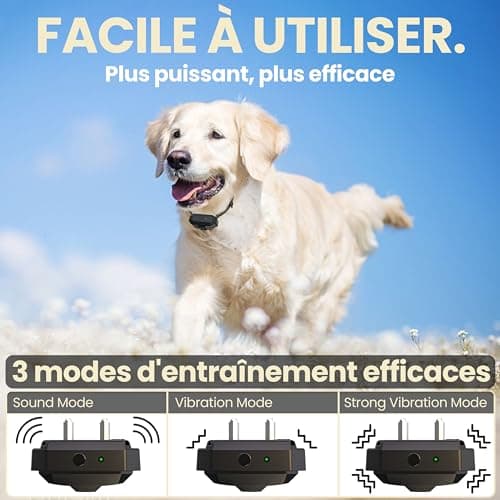 BULIFE Collier de Dressage pour Chiens, 1-50 Niveaux de Vibration, Portée 3000m avec Télécommande, étanche IPX67, 3 Modes : Super Vibration/Bip/Vibration,Rechargeable, pour Chiens de 3 à 55kg (1)