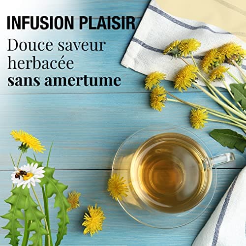 ORIGEENS TISANE PISSENLIT BIO 100g Origine Europe | Infusion pissenlit bio, tisane detox et diurétique | Feuilles de pissenlit bio