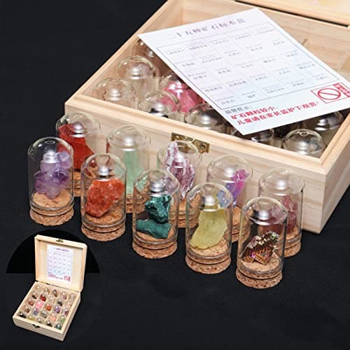 Tuzsocr Mini Pierre Précieuse Naturelle,25 PCS Ensemble de Cristaux de Guérison,Cristaux de Collection Rock and Mineral,Polies Relief,Boîte de Rangement Incluse-Jeu Scientifique et éducatif