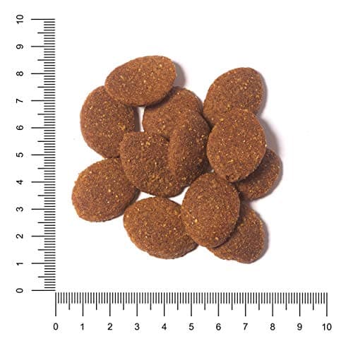 The Hunger of Wolf Croquettes pour chiens adultes de races de très grande taille, formule au poulet pour une meilleure santé articulaire, 14 kg