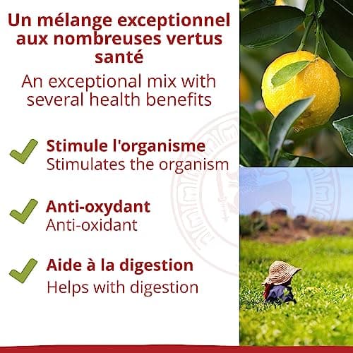 Khla - Thé Noir Citron Bio - Sachet Vrac 150g - Thé Tonique - Saveur Citronnée Agrumes - Thé Détox Digestion - Feuilles Séchées - Thé d’Asie Ceylan - Origine Sri Lanka - Tisane & Infusio