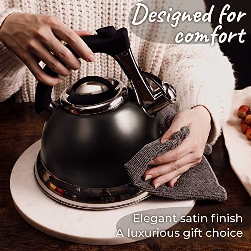 Bouilloire sifflante avec poignée iCool, théière chirurgicale en acier inoxydable pour toutes les cuisinières, 2 infuseurs GRATUITS inclus, 3 litres par Pykal (Noir)