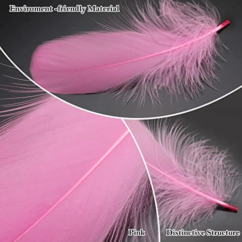 MWOOT 4 Styles de Plumes d'artisanat Assorties (Rose)