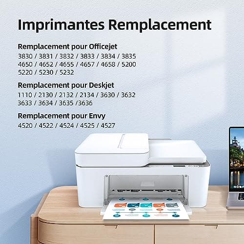 Prodoki 302 XL Cartouche d'encre Remplacement pour HP 302 XL Noir et Couleur Cartouche Encre pour OfficeJet 3831 3833 3830, DeskJet 3630 2130 3632, Envy 4520 4525 4527 (1 Noir, 1 Tri-Colore)