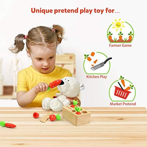 Coogam Jouet de tri de Carotte en Bois, trieur de Forme de Couleur Montessori Jeu d'association de récolte de Coupe pour la compétence motrice Fine des Tout-Petits, Apprentissage préscolaire éducatif