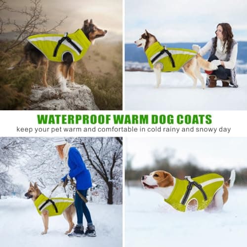Oslueidy Manteau Imperméable pour Chien,Veste Chaude d'hiver Vêtements pour Animaux de Compagnie Coupe Manteau Chiens pour Le Petit Moyen Grande Chien (2XL, Vert)