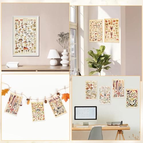 CODIRATO 9 PCS Affiche Botanique Vintage Papillon Poster Rétro Insecte Oiseaux Affiche Esthétique Fleurs Plante Poster Set 30x20cm Fruits Légumes Poster pour Art Mural Déco