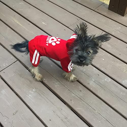 Dolahovy Sweat à Capuche pour Chien Vêtements pour Animaux de Compagnie Pulls pour Chiots Automne Wiver Polaire Chiens Veste Manteaux pour Chihuahua Teddy Petits Chiens Taille Moyenne Chats