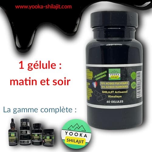 YOOKA Shilajit 60 unités naturel ARTISANAL OR pure. 70% ACIDE FULVIQUE, test en laboratoire garantissant +85 minéraux, 12% acide humique. Séchage soleil 60j, purifiée 40 fois. Société française.