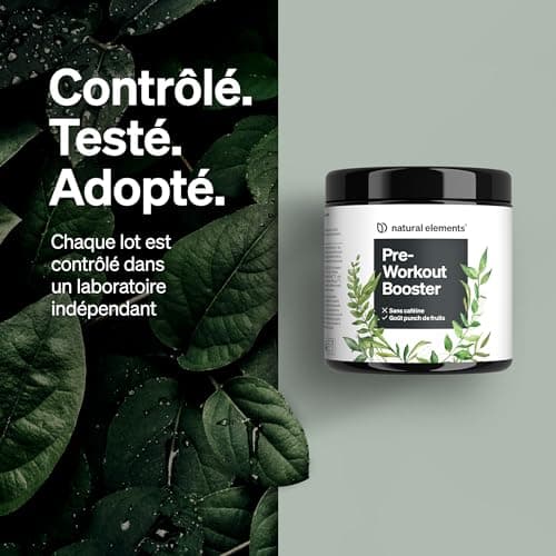 Pre-Workout Booster – zéro caféine – goût punch de fruits – avec niacine, ginseng et BCAA – végane, sans caféine – produit et contrôlé en laboratoire en Allemagne