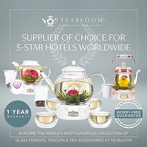 Teabloom Théière en verre compatible avec la cuisinière avec infuseur amovible (1200 ml) et quatre tasses en verre à double paroi (150 ml) – Service à thé Classica