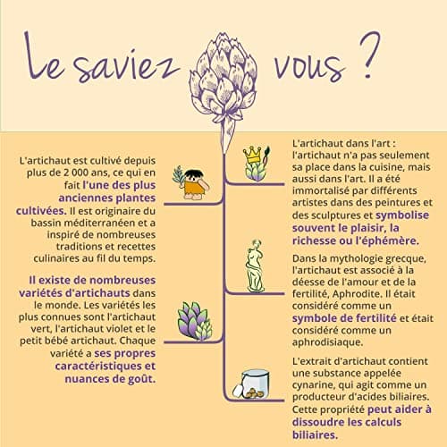 Artichaut BIO | Origine FRANCE | 2000 mg (extrait 20:1) par dose | 2,5% cynarine | Sans Additifs | Dépuratif Foie + Digestion | Testé en Laboratoire | 120 gélules | Artichoke Extract | Vegavero®