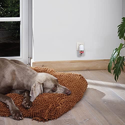 BEAPHAR – CANICOMFORT – Recharge pour diffuseur électrique de phéromones pour chien – Réduit le stress et les comportement non désirés sans dépendance ni somnolence – Prêt à l'emploi – 1 x 48 ml