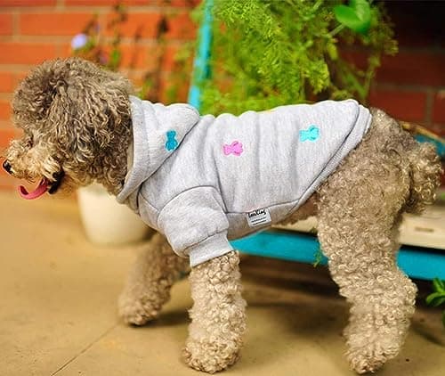 LeerKing Sweats à Capuche pour Chien Chaud Sweatshirt en Coton Chiot Vêtement pour Moyen Petit Chien Chat Gris XXS