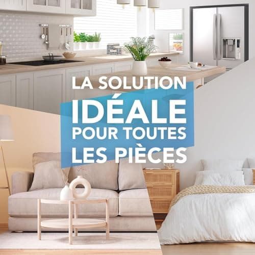 Raid Essentials Piège Lumineux Anti-Mouches - 1 Piège + 1 Recharge